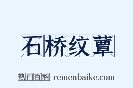 石桥纹蕈是什么意思的图片